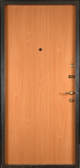 Металлическая дверь ДЛ-11