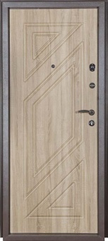 Металлическая дверь ДМ-171